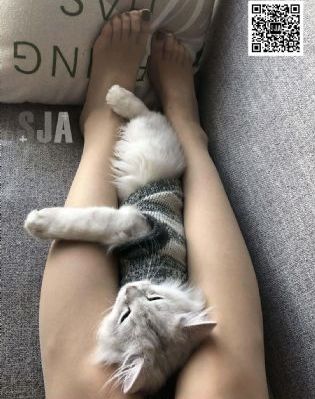 国产高清自在在线观看_1080P在线观看