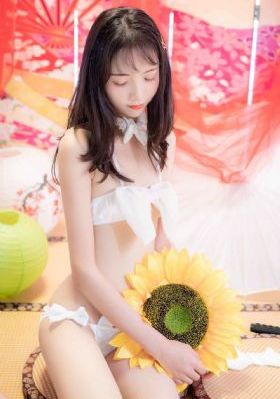东风风光车是国产车吗_DVD日韩电影在线